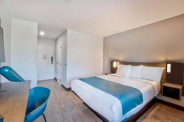 Foto van 1 tweepersoonsbed (queensize) | Rookvrij - Vakantiehuis in Fort Lauderdale - Facilities