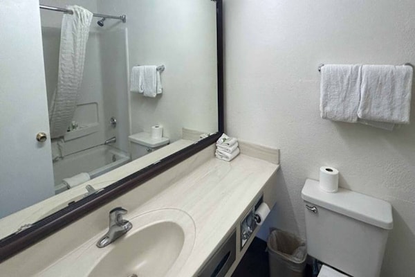 Foto van 1 kingsize bed | Rookvrij, koelkast - Vakantiehuis in Tempe - BathRoom