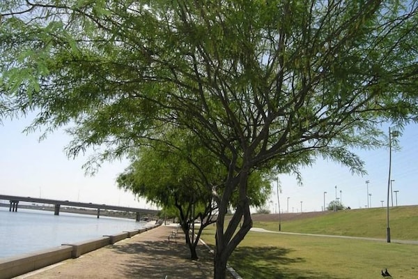 Foto van 1 tweepersoonsbed | Douche conform ADA/RI-normen - Vakantiehuis in Tempe - Facilities