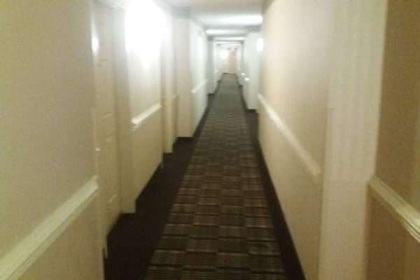 Foto van 1 kingsize bed | Rookvrij, koelkast - Vakantiehuis in Myrtle Beach SC - Facilities