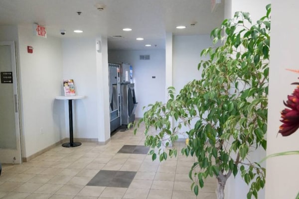 Foto van 1 tweepersoonsbed (queensize) | Rookvrij - Vakantiehuis in Pottstown - Facilities