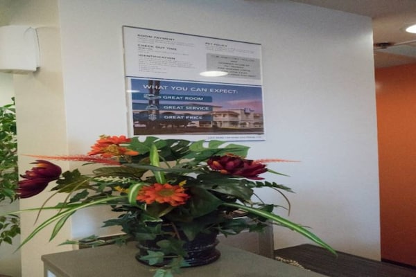 Foto van 1 tweepersoonsbed (queensize) | Rookvrij - Vakantiehuis in Pottstown - Facilities