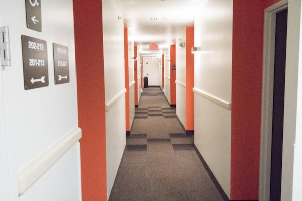 Foto van 1 tweepersoonsbed (queensize) | Rookvrij - Vakantiehuis in Pottstown - Facilities