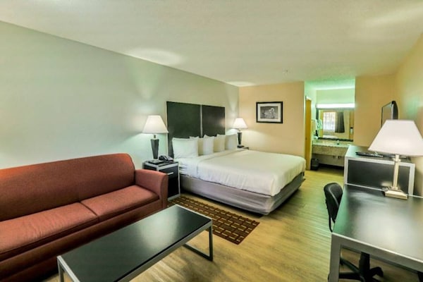 Foto van 1 kingsize bed | Rookvrij, koelkast - Vakantiehuis in Nacogdoches - Facilities