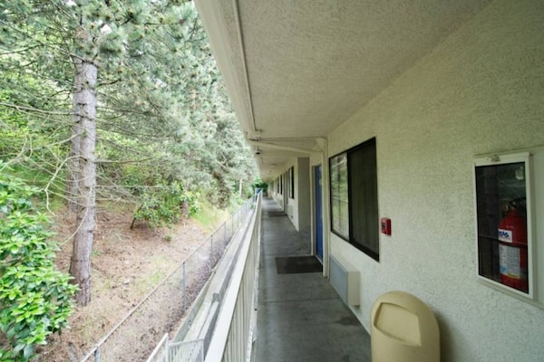 Foto van 1 tweepersoonsbed (Queensize) | Seattle - Vakantiehuis in Seattle - ExteriorSummer