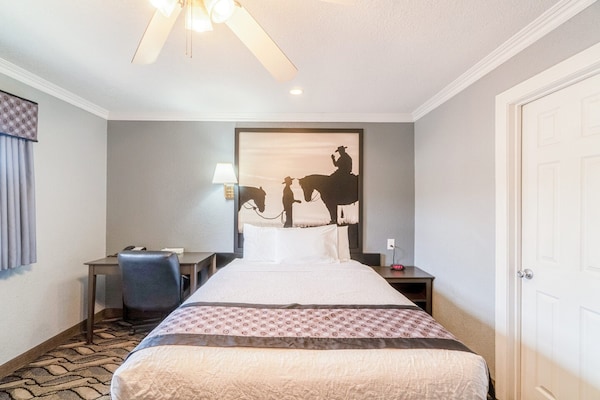Foto van Snyder TX | Kingsize bed - Vakantiehuis in Snyder TX - BedRoom