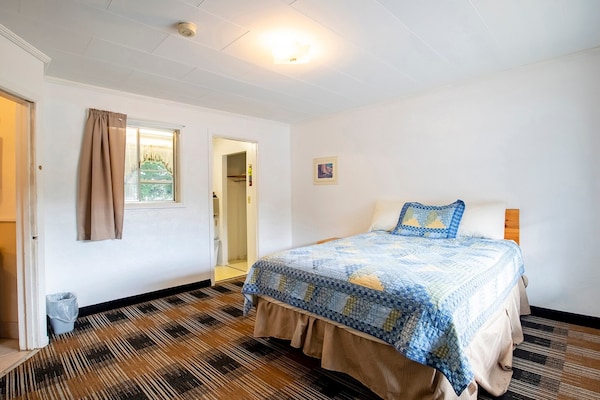 Foto van 1 Queen En 1 Twin Room Met Kitchenette - Vakantiehuis in Bryson city - BedRoom