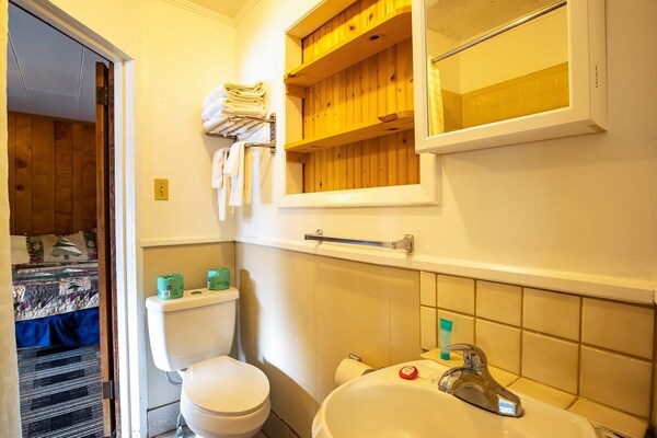 Foto van Queen Room - Riverfront - Vakantiehuis in Bryson city - BathRoom