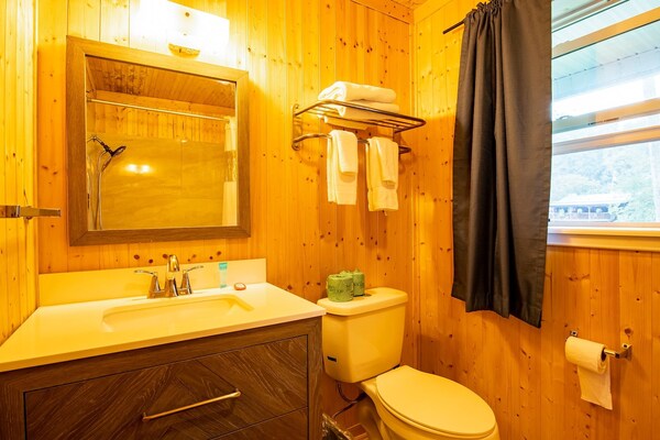 Foto van Queensize bed | Niet roken - Vakantiehuis in Bryson city - BathRoom
