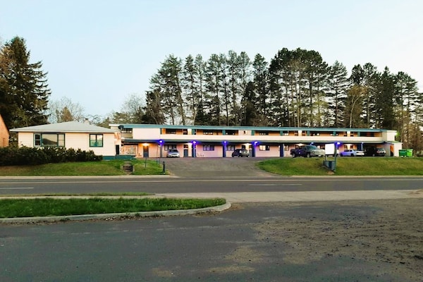 Foto van 2 tweepersoonsbedden_ Love Hotels Timberline - Vakantiehuis in Ironwood - parking