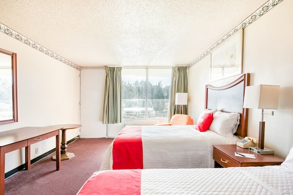 Foto van 2 tweepersoonsbedden | Rookvrij - Vakantiehuis in Petersburg VA - BedRoom