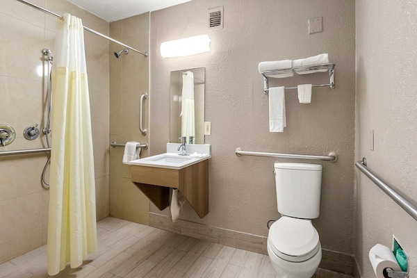 Foto van 1 kingsize bed | Premium, koelkast - Vakantiehuis in Decatur GA - BathRoom