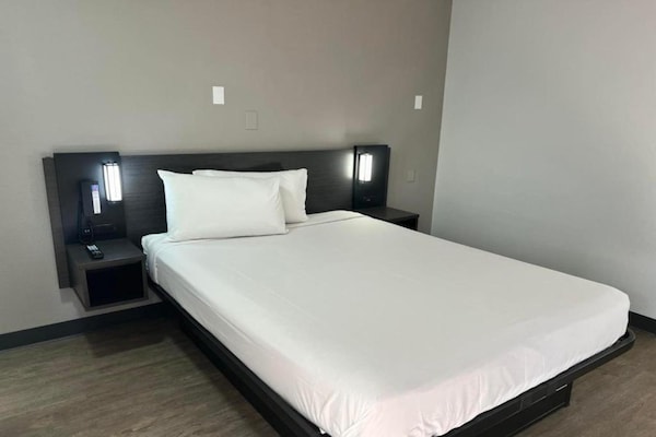 Foto van 1 tweepersoonsbed (Queensize) | Lakeland - Vakantiehuis in Tampa - BedRoom