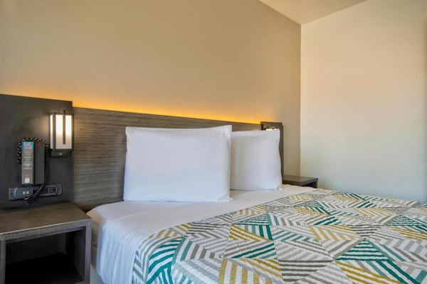 Foto van 1 tweepersoonsbed | Rolstoeltoegankelijke/RI-douche - BedRoom